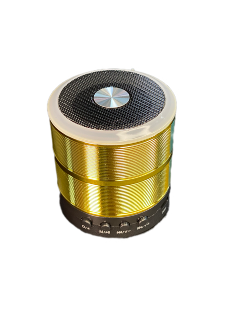 اسپیکر بی‌سیم WS-887 با طراحی فشرده، دکمه‌های کنترلی و قابلیت اتصال TWS دو اسپیکر