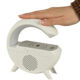 شارژ وایرلس گوشی روی اسپیکر ZQS-1228